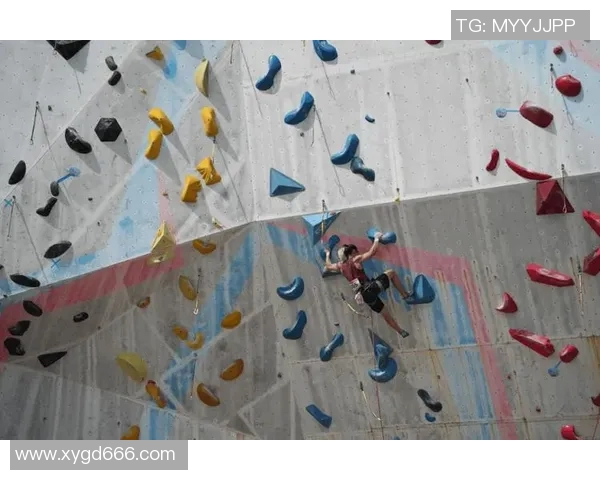 杭州攀岩队荣登攀岩比赛经验排行榜第一名引发广泛关注与讨论