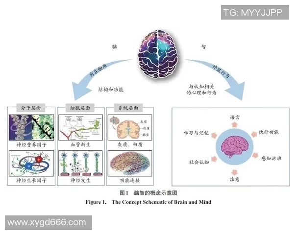 创新运动舞蹈教学法探索与实践：融合艺术与运动提升学员综合素质