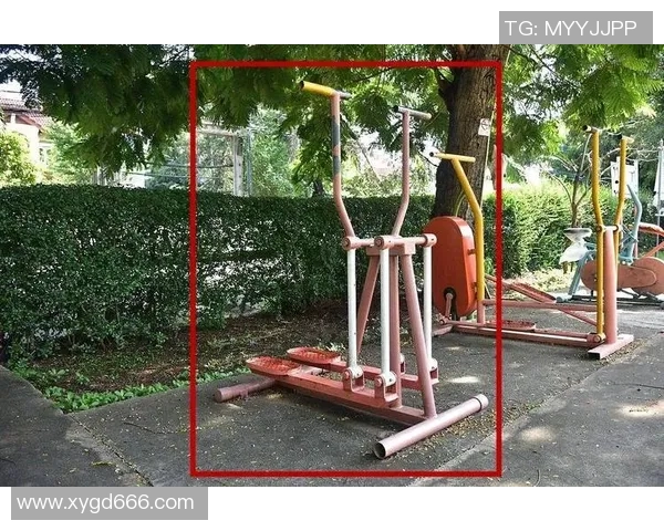 组合式健身器材：组合式健身器材的功能与购买建议